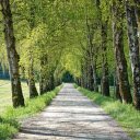 Spring road  screen for extension Chrome web store in OffiDocs Chromium