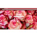 spring roses  screen for extension Chrome web store in OffiDocs Chromium