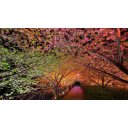 Spring theme  screen for extension Chrome web store in OffiDocs Chromium