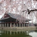 Springtime Beauty at a Royal Pavilion  screen for extension Chrome web store in OffiDocs Chromium