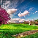 Spring Wallpaper  screen for extension Chrome web store in OffiDocs Chromium
