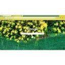 Spruce tree tops  screen for extension Chrome web store in OffiDocs Chromium
