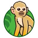 squirrel monkey  screen for extension Chrome web store in OffiDocs Chromium