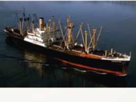 Free download SS  Australian Gem free photo or picture to be edited with GIMP online image editor