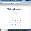 SSStok Theme  screen for extension Chrome web store in OffiDocs Chromium