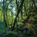 Stairs Up The Mountain  screen for extension Chrome web store in OffiDocs Chromium
