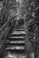 Free download Stairway to Heaven free photo or picture to be edited with GIMP online image editor