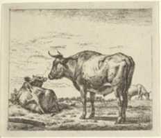 Free download Standing Bull, from Different Animals free photo or picture to be edited with GIMP online image editor