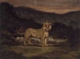 Free download Standing Lion (Lion debout) free photo or picture to be edited with GIMP online image editor
