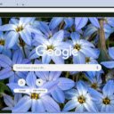 Starflower  screen for extension Chrome web store in OffiDocs Chromium