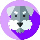 StatPal  screen for extension Chrome web store in OffiDocs Chromium