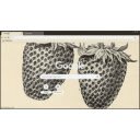 stawberrys  screen for extension Chrome web store in OffiDocs Chromium