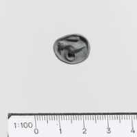 Free download Steatite truncated conoid seal free photo or picture to be edited with GIMP online image editor