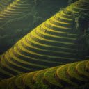Steep terraced fields  screen for extension Chrome web store in OffiDocs Chromium