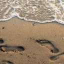 Stepping on the sand  screen for extension Chrome web store in OffiDocs Chromium