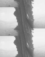 GIMP অনলাইন ইমেজ এডিটর দিয়ে স্টিভ স্যালমন বিনামূল্যের ছবি বা ছবি এডিট করার জন্য বিনামূল্যে ডাউনলোড করুন