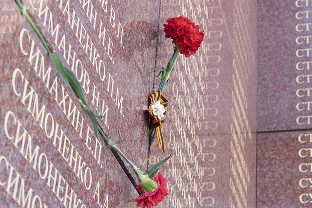 دانلود رایگان عکس St George ribbon carnation memory رایگان برای ویرایش با ویرایشگر تصویر آنلاین رایگان GIMP