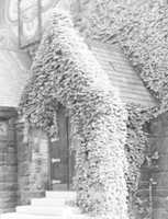 Free download St. Johns With Ivy free photo or picture to be edited with GIMP online image editor