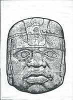 Free download Stone Head Found in Yucatan Mexico Before Columbus. free photo or picture to be edited with GIMP online image editor