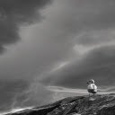 Stormy bird  screen for extension Chrome web store in OffiDocs Chromium