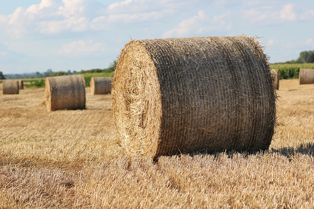 免费下载稻草捆 1000 公斤农业大免费图片以使用 GIMP 免费在线图像编辑器进行编辑