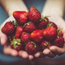 Strawberries in hand  screen for extension Chrome web store in OffiDocs Chromium