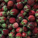 strawberry  screen for extension Chrome web store in OffiDocs Chromium