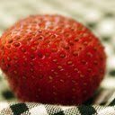 Strawberry fruit and seeds  screen for extension Chrome web store in OffiDocs Chromium