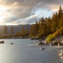 Stream and Forest  screen for extension Chrome web store in OffiDocs Chromium