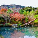 Stream in a Park in Kyoto  screen for extension Chrome web store in OffiDocs Chromium