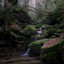 streams and mossy rocks  screen for extension Chrome web store in OffiDocs Chromium