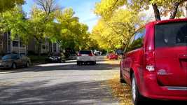Free download Street Autumn Trees -  free video to be edited with OpenShot online video editor