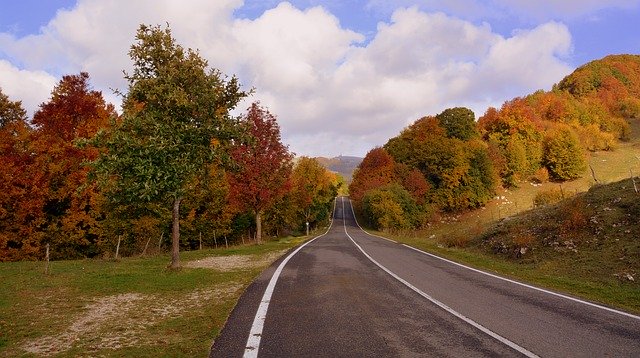 Scarica gratis l'immagine gratuita delle montagne autunnali degli alberi di strada da modificare con l'editor di immagini online gratuito di GIMP