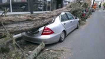 Free download Stress auto insurance free photo or picture to be edited with GIMP online image editor