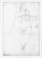 Descărcare gratuită Studii pentru o femeie nudă văzută din față (recto); Patru nuduri masculine în picioare, Venus și Cupidon (verso) fotografie sau imagini gratuite pentru a fi editate cu editorul de imagini online GIMP