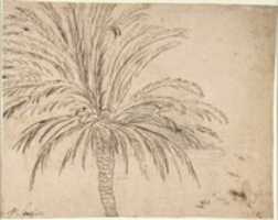Gratis download Studie van een palmboom (recto); Berglandschap (verso) gratis foto of afbeelding om te bewerken met GIMP online afbeeldingseditor