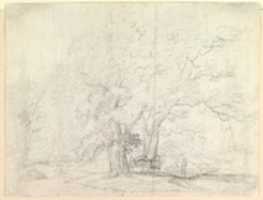 Free download Study of Oak Trees (recto) free photo or picture to be edited with GIMP online image editor