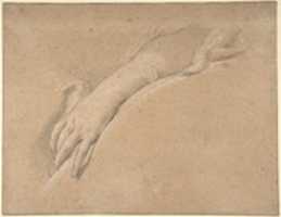 Free download Study of the left hand of Mme de Pompadour free photo or picture to be edited with GIMP online image editor