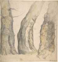 Free download Study of Three Old Gnarled Trees free photo or picture to be edited with GIMP online image editor
