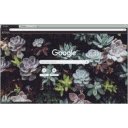 Succulent Jungle  screen for extension Chrome web store in OffiDocs Chromium