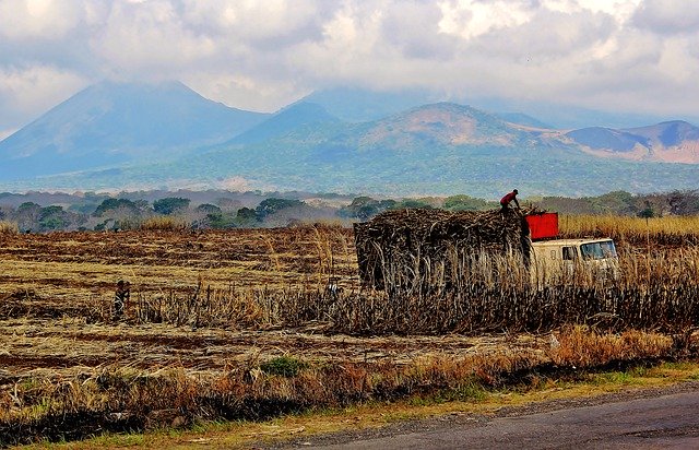 Baixe gratuitamente a imagem gratuita do caminhão de montanha de cana de açúcar para ser editada com o editor de imagens on-line gratuito do GIMP