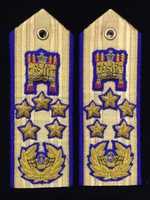 Free download Sultan of Royal Brunei Field Marshal Rank Marks free photo or picture to be edited with GIMP online image editor