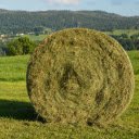 Summer Hayfield  screen for extension Chrome web store in OffiDocs Chromium
