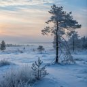 Sun and Snow Theme  screen for extension Chrome web store in OffiDocs Chromium