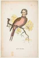 Free download Sun Bird (James S. Wallace), from The Comic Natural History of the Human Race free photo or picture to be edited with GIMP online image editor