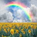 sunflower and rainbow wallpapers  screen for extension Chrome web store in OffiDocs Chromium