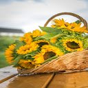 Sunflower basket wallpaper  screen for extension Chrome web store in OffiDocs Chromium