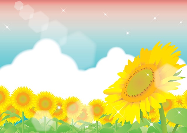 Template Photo Sunflower Field Background for OffiDocs