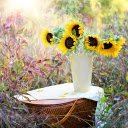Sunflower vase  screen for extension Chrome web store in OffiDocs Chromium