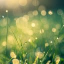 Sunlight  screen for extension Chrome web store in OffiDocs Chromium